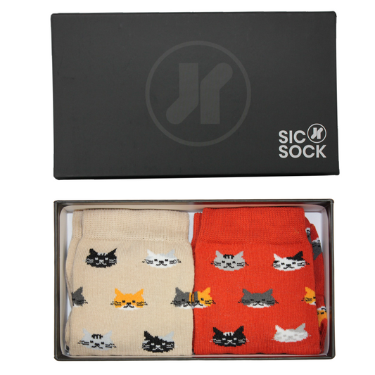 Purr-fect Pals: Kitty Adventure Kids' Sock Duo Gift Box